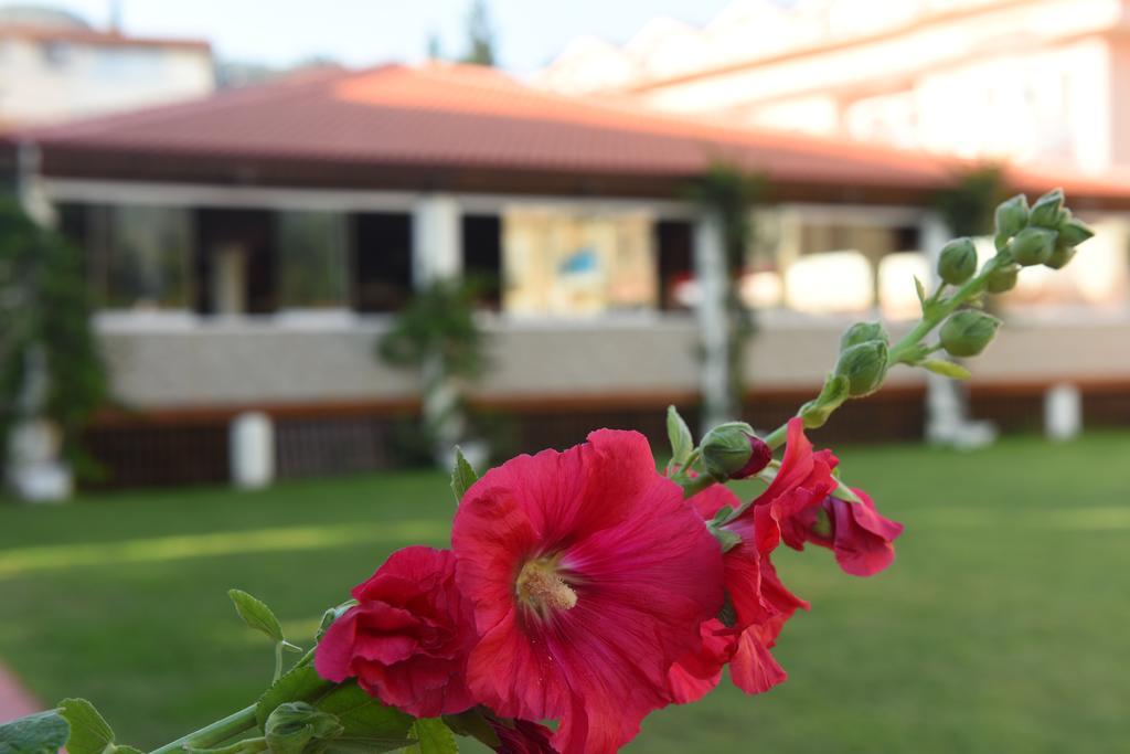 Oludeniz Turquoise Hotel Kültér fotó